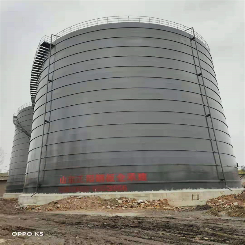 临海3万吨大型钢板库